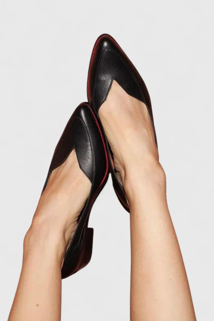 Elegant Pointed Shoes