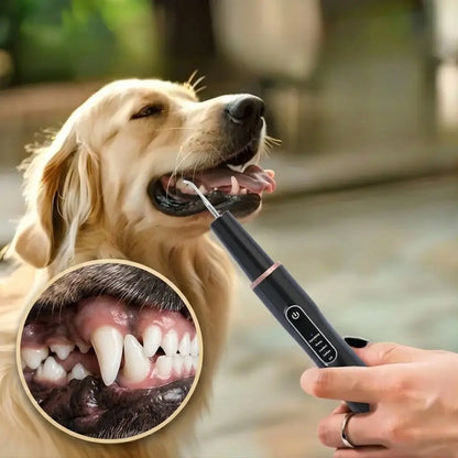 Black ultrasonic dog and cat teeth cleaning tool with rose gold trim