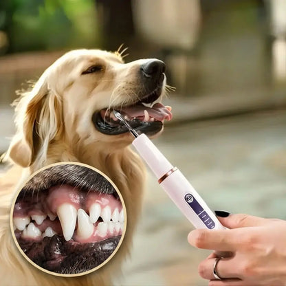 White ultrasonic dog and cat tartar remover teeth cleaning tool with rose gold trim